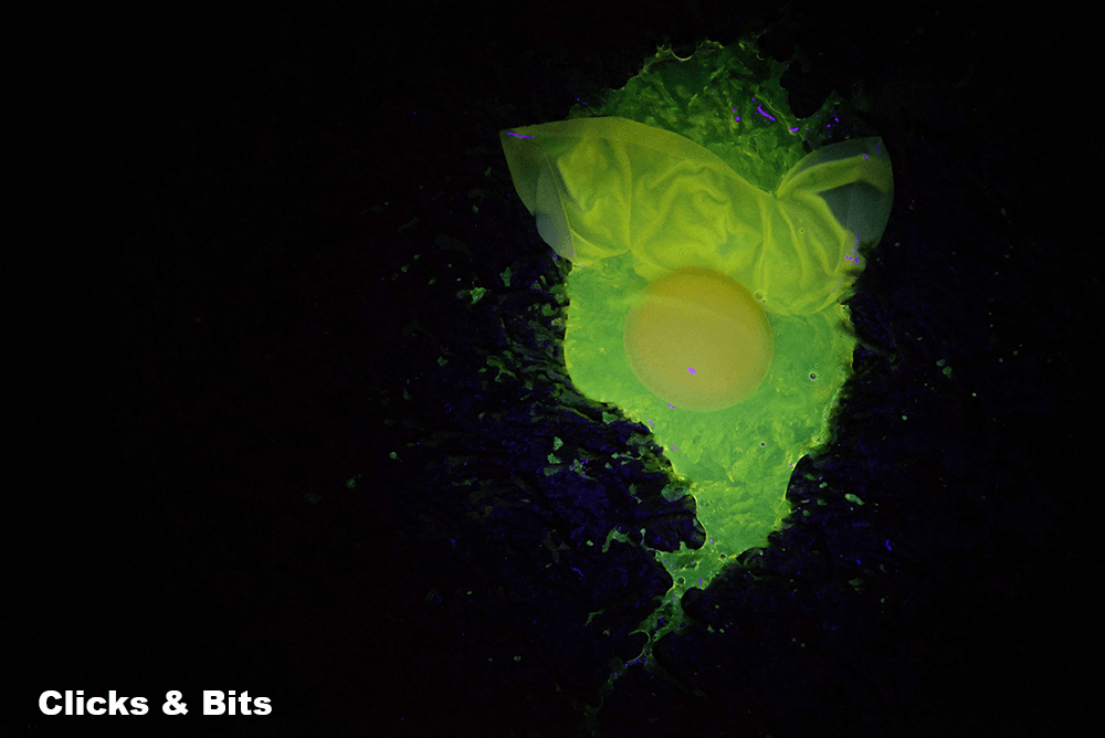 glowing bouncy egg