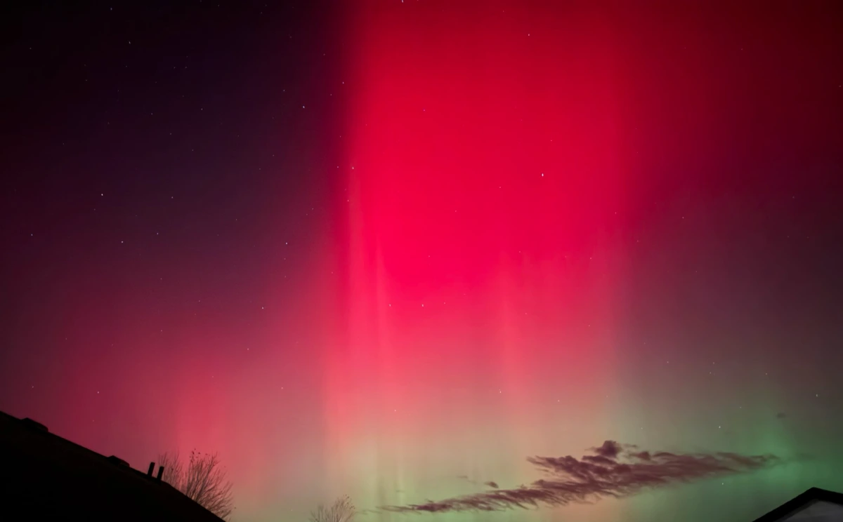 The northern lights I captured from my backyard in November, 2025 with an iPhone 16 Pro