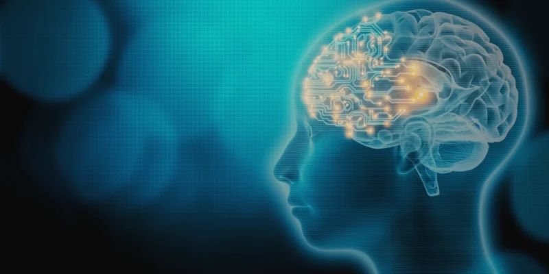 build a second brain