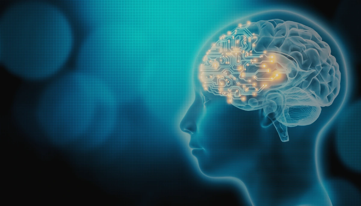 build a second brain